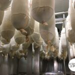 Capocollo of Martina Franca