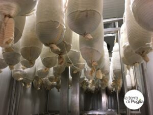 Capocollo of Martina Franca