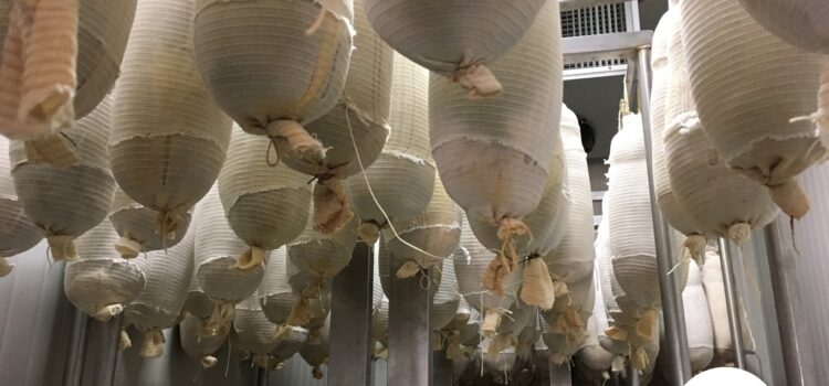 Capocollo of Martina Franca