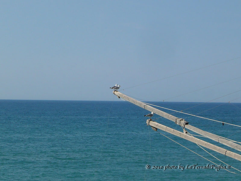 A trabucco, the old fishing machine of the Gargano coast