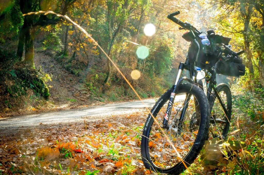 Cycling in Puglia among the olive groves: September and October are the best months