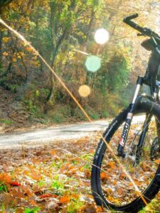 Cycling in the Apulian countryside