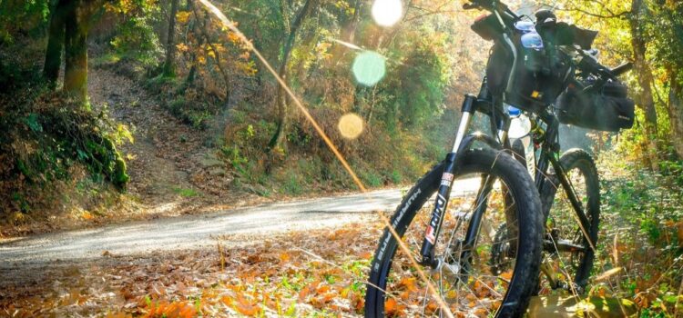 Cycling in the Apulian countryside