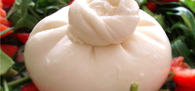 Burrata, the cheese of Andria