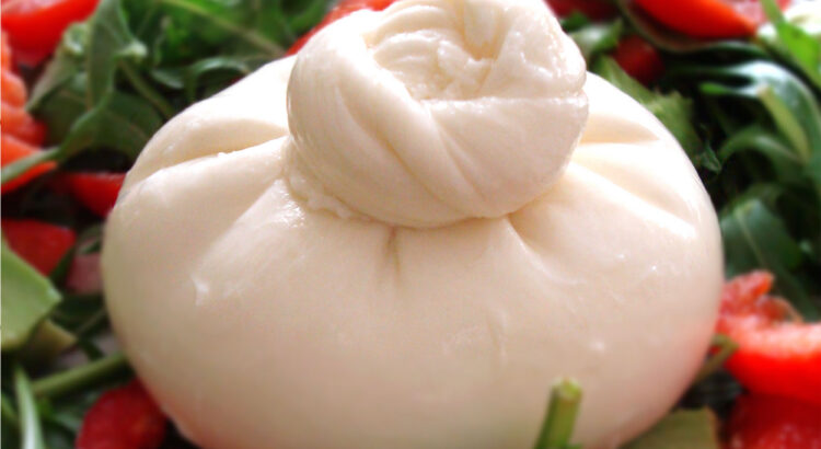 Burrata, the cheese of Andria