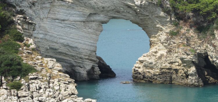 The Gargano coast