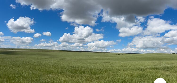 The Alta Murgia, the plateau where Castel del Monte stands