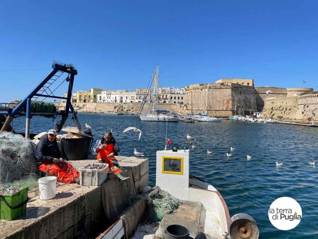 The harbour of Gallipoli with the Angevin castle