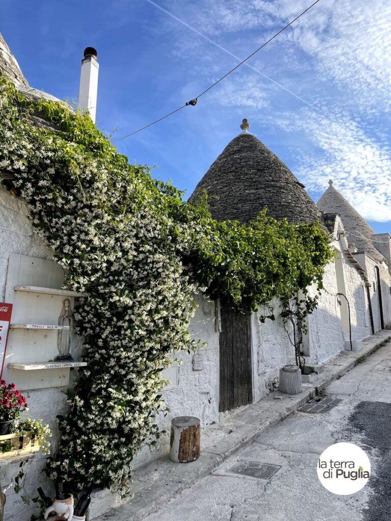 The trulli of Alberobello