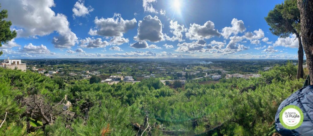 Martina Franca seen from Cisternino, across the Valle d'Itria
