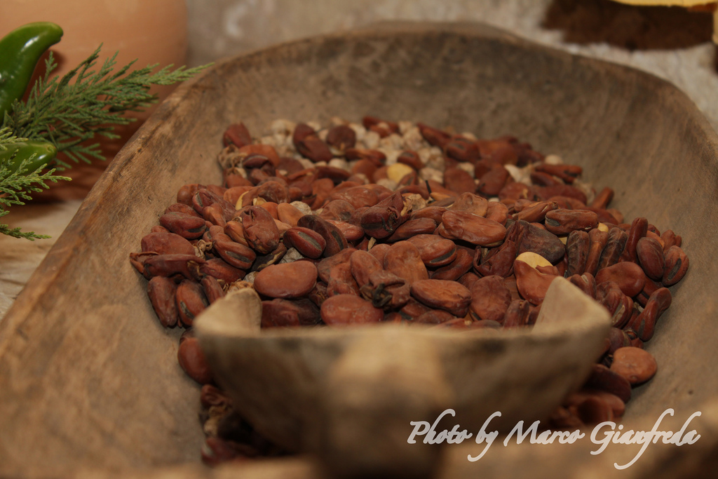 Dried Apulian broad beans in a wooden bowl, ready for soaking and soup