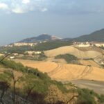 Rolling hills of the Monti Dauni with harvested wheat fields and a hilltop village in the distance