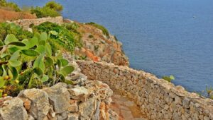 A dry stone wall running along a path above the sea in the Salento, with prickly pears and Mediterranean scrub